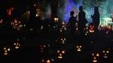 Kerumunan Pesta Halloween di Kafe Kuningan, Pengelola Diperiksa Polisi