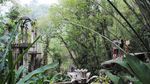 Foto: Taman Bermain Unik di Tengah Hutan Meksiko