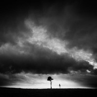 Karya Jesse Hunter dari Queensland, Australia. Foto: Dok. Fearless Photographers