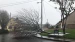 Foto: Amukan Badai Ophelia di Irlandia yang Tewaskan 3 Orang