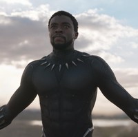 Film ini mengangkat superhero keturunan Afrika-Amerika yang bernama asli T’Challa. Namun, desainer diberi kebebasan untuk menginterpretasikan kisah Black Panther ke dalam koleksinya.