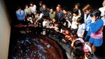 Foto: Cumi-cumi Bercahaya di Dalam Gelap