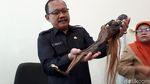 Foto: Ini Jenglot di Pantai Surabaya yang Bikin Geger