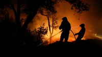 Petugas pemadam kebakaran berusaha memadamkan api di kawasan Cabanoes, Portugal, Senin (16/10) waktu setempat. Pedro Nunes/Reuters.