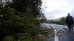 Foto: Amukan Badai Ophelia di Irlandia yang Tewaskan 3 Orang