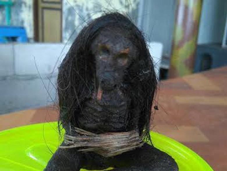 Bertaring hingga Berbadan Ular, Ini Jenglot yang Bikin Geger Bertaring hingga Berbadan Ular, Ini Jenglot yang Bikin Geger