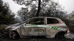 Begini Dampak Amukan Si Jago Merah di Portugal