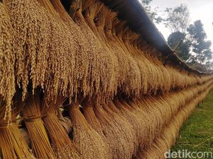 Kementan Tak Bisa Sendirian Jaga Ketahanan Pangan, Begini Peran Pengusaha Nasional