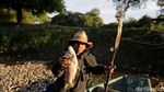 Misteri Ribuan Ikan Mati di Paraguay