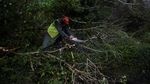 Foto: Amukan Badai Ophelia di Irlandia yang Tewaskan 3 Orang