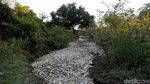 Misteri Ribuan Ikan Mati di Paraguay