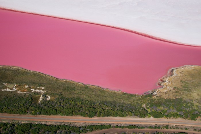 Aerial view of the naturally pink Hutt Lagoon near Port Gregory in Western Australia. The pink colour is caused mainly by microscopic algae (Dunaliella salina), which thrive in the supersaline water. The algae are farmed in ponds in other parts of the lake; they are harvested for their pigments, which are used as food additives and natural colours.