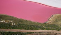 Australia Barat memiliki banyak pantai atau danau pink. Ada Danau Hillier, Pink Lake dan Hutt Lagoon (Thinkstock)