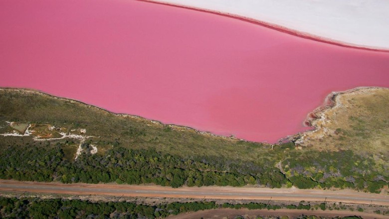 Autralia Barat Aerial view of the naturally pink Hutt Lagoon near Port Gregory in Western Australia. The pink colour is caused mainly by microscopic algae (Dunaliella salina), which thrive in the supersaline water. The algae are farmed in ponds in other parts of the lake; they are harvested for their pigments, which are used as food additives and natural colours.