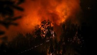 Kebakaran hutan ini diperparah oleh hembusan angin dari badai Ophelia yang mencapai 90 kilometer per jam. Pedro Nunes/Reuters.