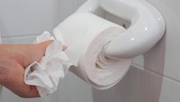 Kalau tipe orang seperti ini, tipe di mana mereka akan menaruh banyak kertas toilet di tempat duduk sebelum buang hajat. Foto: Thinkstock