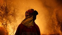 Akibat kebakaran ini,  31 orang meninggal di Portugal. Selain itu ada 51 orang lainnya mengalami luka-luka dan 15 di antaranya mengalami luka serius. Pedro Nunes/Reuters.