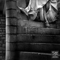 Karya Victor Lax dari Spanyol. Foto: Dok. Fearless Photographers