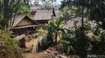 Hebat! Begini Cara Warga Baduy Jaga Ketahanan Pangan