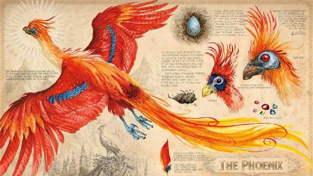 Penuh Teka Teki, Ini Trailer Pameran Sejarah Sihir Harry Potter di Inggris