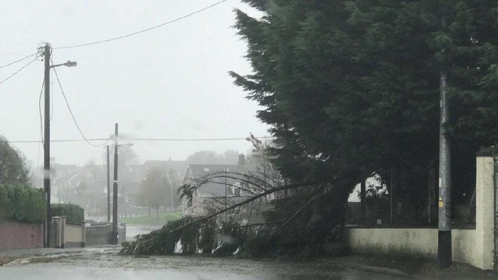 An uprooted tree lies in a road as storm Ophelia hits Cork, Ireland, October 16, 2017, in this still images obtained from social media video. KIERON OCONNOR/ via REUTERS  THIS IMAGE HAS BEEN SUPPLIED BY A THIRD PARTY. MANDATORY CREDIT. NO RESALES. NO ARCHIVES.