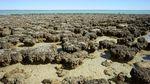 Foto: Destinasi Unik di Australia Barat