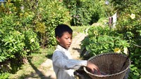 Semua kalangan menjaga kebersihan desa ini. Jikalau mereka melihat sampah ataupun daun kering, mereka akan memungut dan membuangnya ke tempat sampah (AFP)