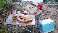 Beragam pose lucu dan kelakuannya yang menggemaskan dapat kamu lihat di akun instagramnya @hedgehog_azuki (hedgehog_azuki/Instagram)