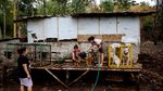 Foto: Ganasnya Adu Bagong, Duel Anjing vs Babi Hutan di Majalaya