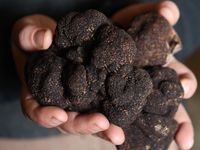Bahan Makanan yang Mahal Bisa Diganti dengan Trik Ini