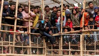 Pertarungan yang dikenal sebagai adu bagong ini sudah biasa ditonton warga sejak tahun 1960an ketika jumlah babi liar di daerah ini melonjak. Babi hutan kemudian diburu untuk melindungi tanaan.