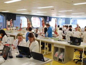 Syarat Baru Bahasa Inggris Untuk Kuliah di Australia Membingungkan