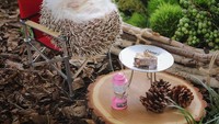 Properti dari Coleman membuat Azuki berkemah dan hidup di alam liar. Dilengkapi dengan tenda, kayak, dan barbekyu miliknya sendiri, membuat Azuki benar-benar menjadi petualang sejati! (hedgehog_azuki/Instagram)