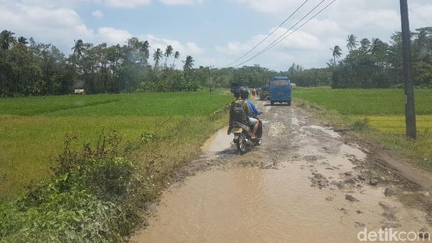 Respons Bupati Pandeglang soal Petisi Bangun Jalan Raya InsyaAllah