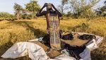 Foto: Festival Mencuri Istri di Afrika