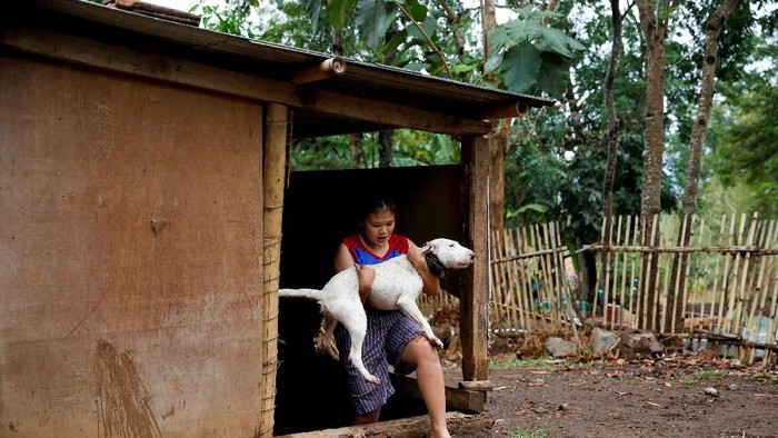 Foto: Ganasnya Adu Bagong, Duel Anjing vs Babi Hutan di Majalaya - Foto 4