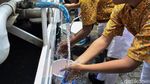 Edukasi Pentingnya Mencuci Tangan untuk Kesehatan