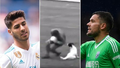 Cedera-cedera Aneh Pesepakbola: Akibat Urin, Game, Sampai Anjing