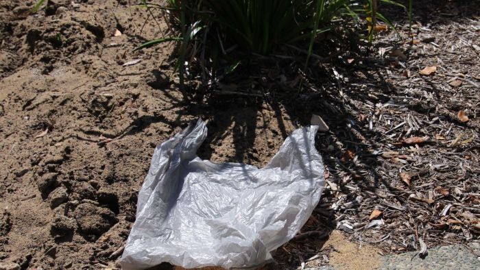 Kantung Plastik Sekali Pakai Kini Dilarang di Victoria