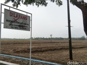 Desa Burung Hantu di Demak yang Menarik Perhatian