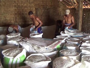 Jaga Investasi, Menperin Permudah Impor Garam Kebutuhan Industri