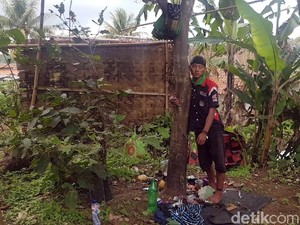 Nestapa Pria Dirantai di Pohon: Dicerai Istri hingga Ilmu Gaib