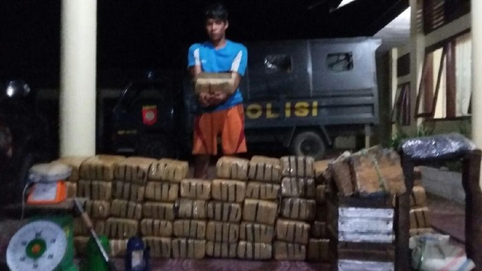 Tepergok Bungkus 410 Kg Ganja, Petani di Aceh Ditangkap