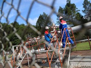 Saham PGEO Lesu Sejak IPO, Ini Biang Keroknya!