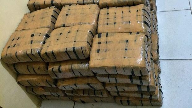 Ganja siap edar juga dipress.