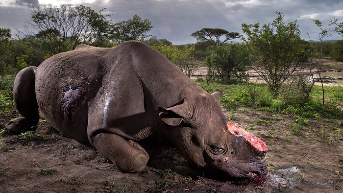 Foto: BBC Magazine Foto: BBC Magazine