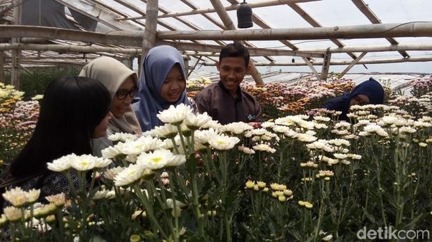 4 Taman Bunga di Yogya dan Semarang yang Mirip di Luar Negeri