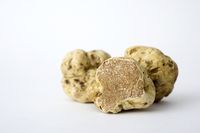 Bagel dengan Paduan <i>White Truffle</i> Seharga 13 Juta, Mau Coba?