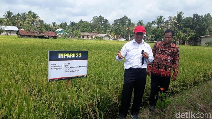 Foto: Fadhly Fauzi Rachman/detikFinance Foto: Fadhly Fauzi Rachman/detikFinance