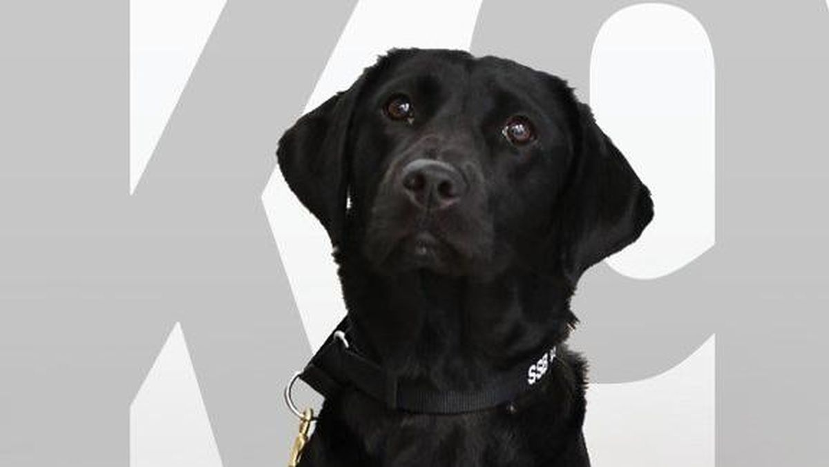 Aktrisa Oksana Doroxina yalangoch Yonaltiruvchi spektral usul gamma korrelyatsiya